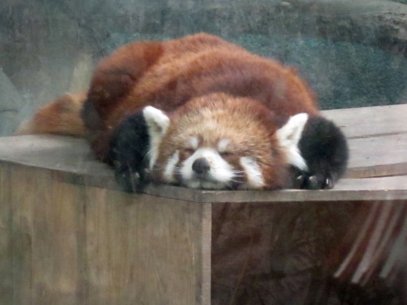 2012 China 108.jpg